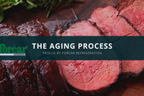 GASTRO-STIL_FORCAR_THE-AGING-PROCESS